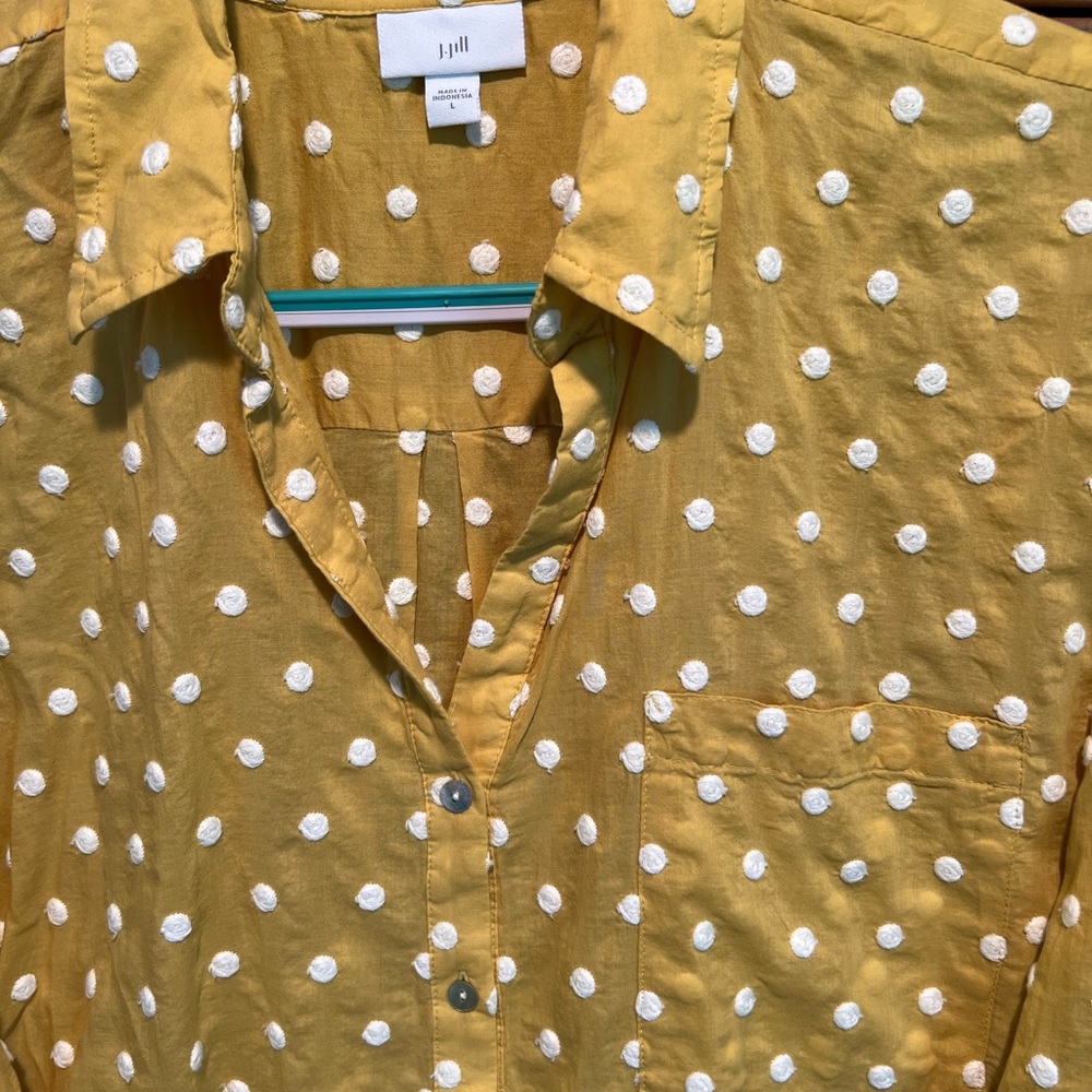 Polka Dots
